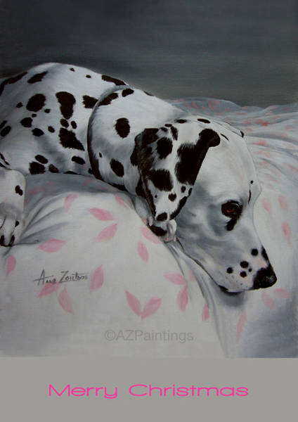 A peaceful Dalmatian lying on a bed