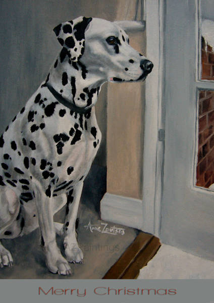 A Dalmatian sitting just inside an open doorway, looking out at the snow
