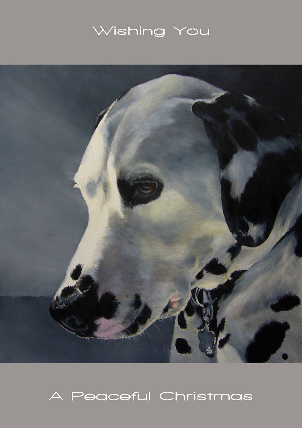 Head study of a peaceful Dalmatian
