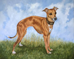 Oil painting of a standing Italian greyhound
