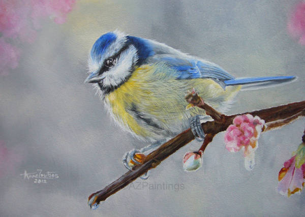 A blue tit perched on a branch with blossom