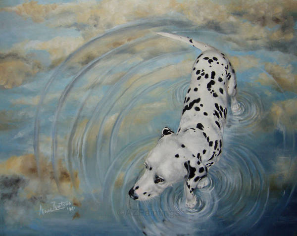 A Dalmatian standing in rippling water reflecting the sky