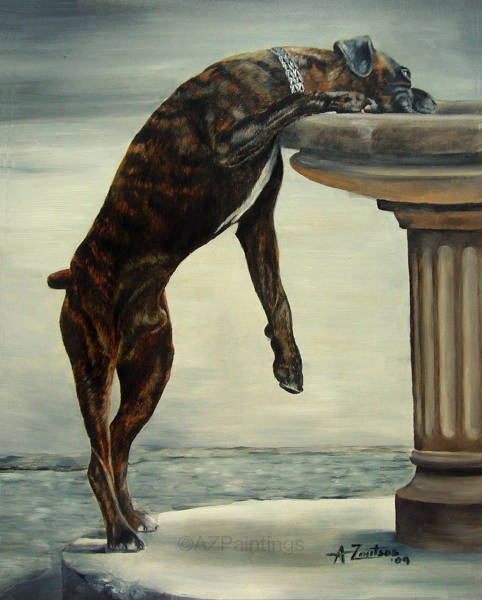 A Boxer dog standing on his back legs drinking from a fountain