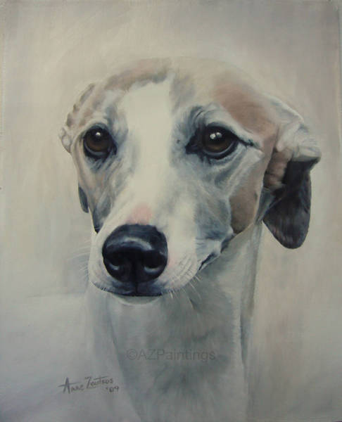 A head study of a whippet