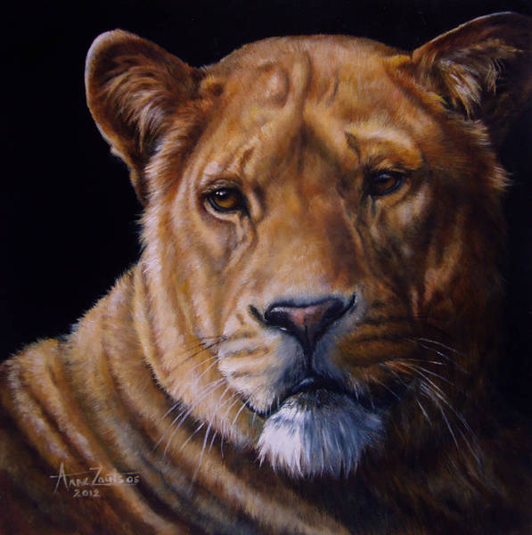 A head study of a lioness