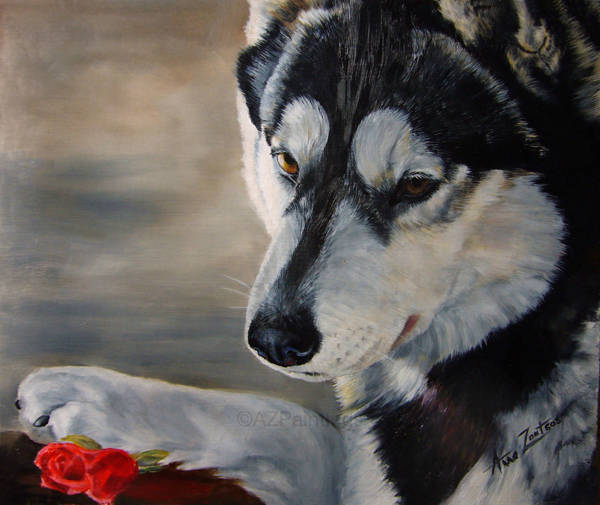 A Husky with a rose beside its paw