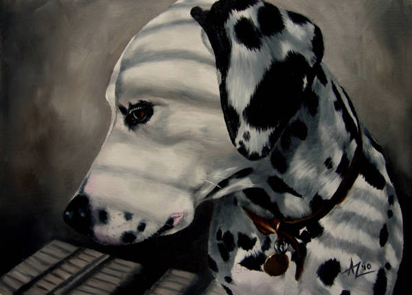 A Dalmatian with stripes of sun and shade across her coat