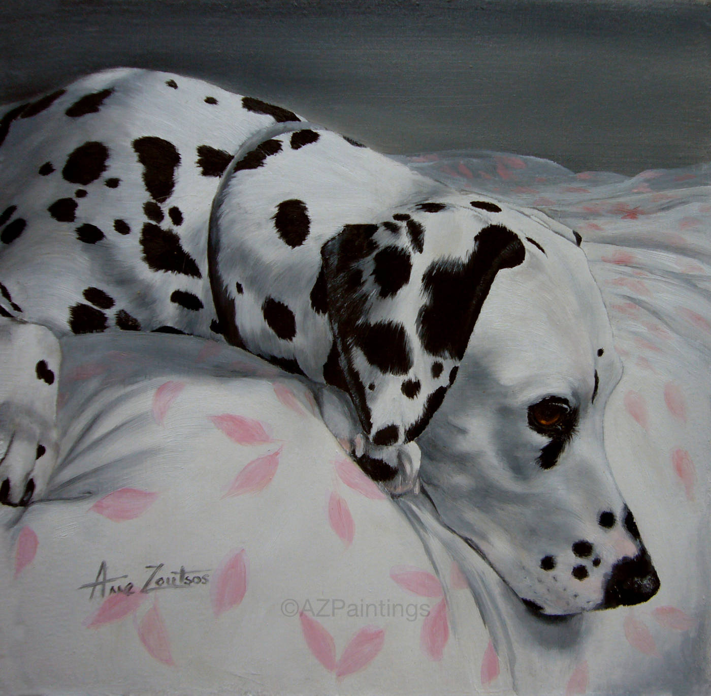 A peaceful Dalmatian lying on a bed