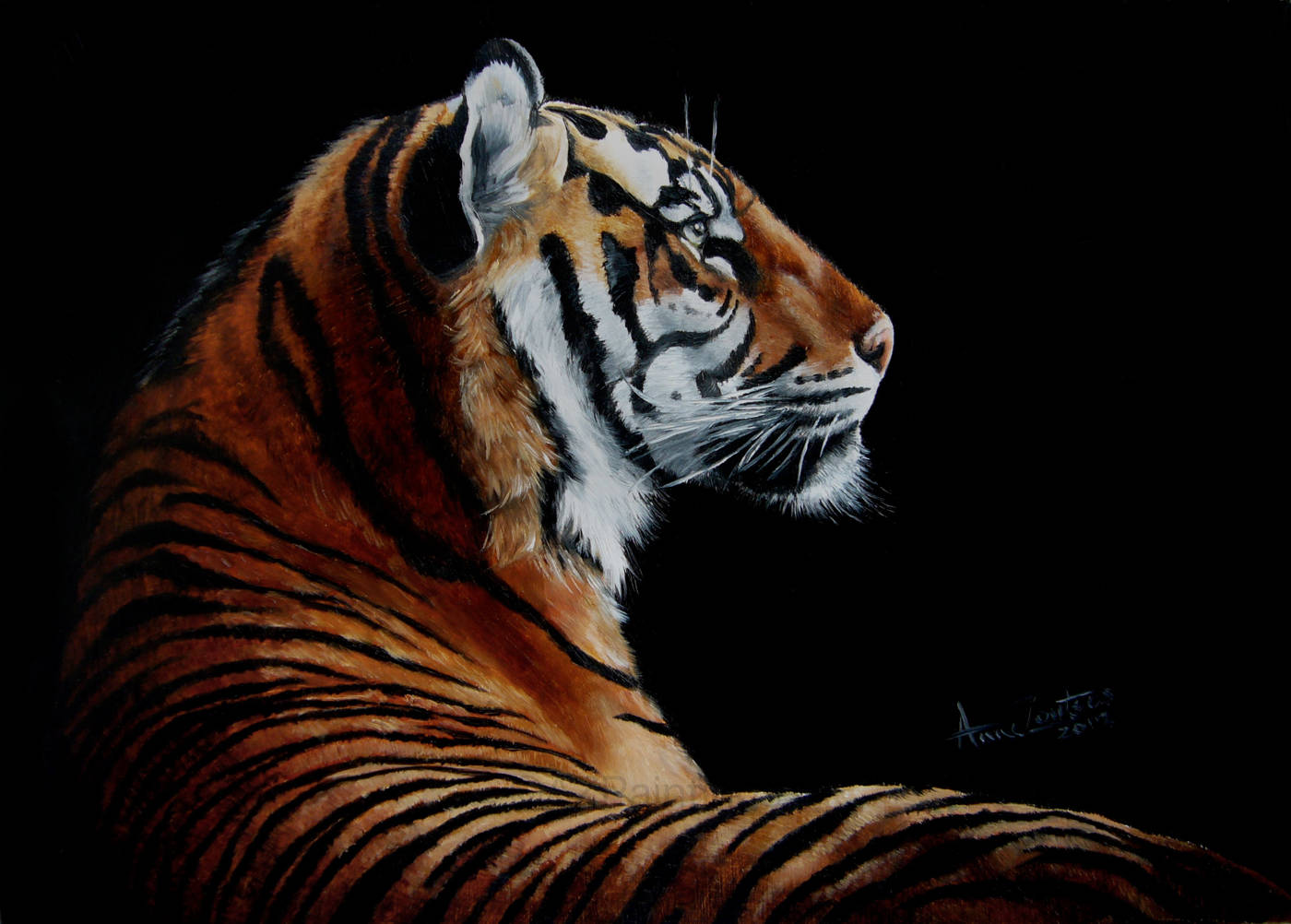 A dramatic tiger in profile against a dark background