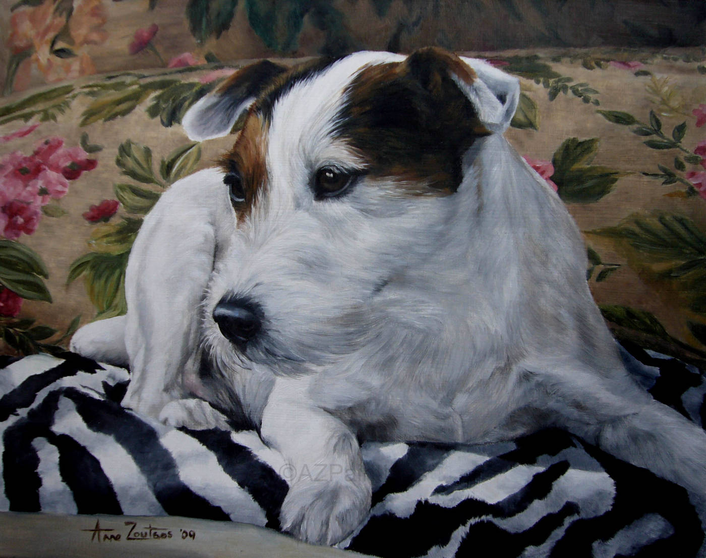 A portrait of a Jack Russell Terrier relaxing on patterned cushions