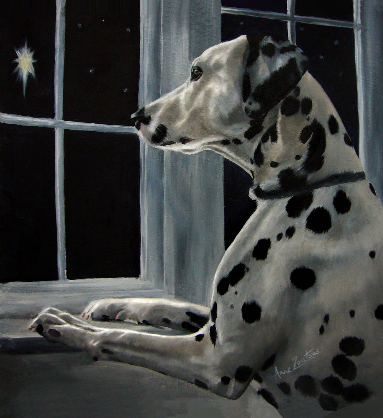 A Dalmatian gazing up through the window at a bright star