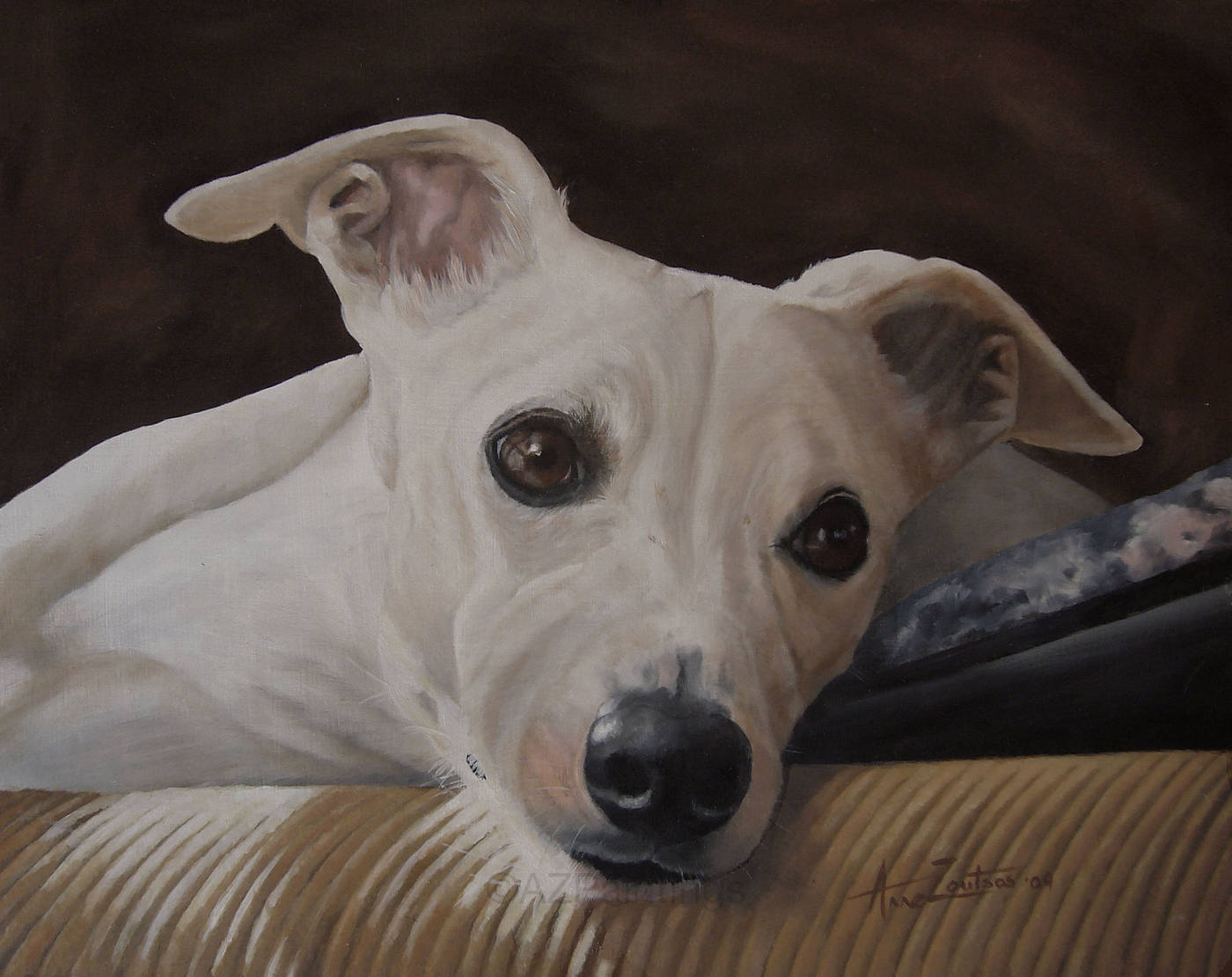 A whippet resting with its head resting on a cushion